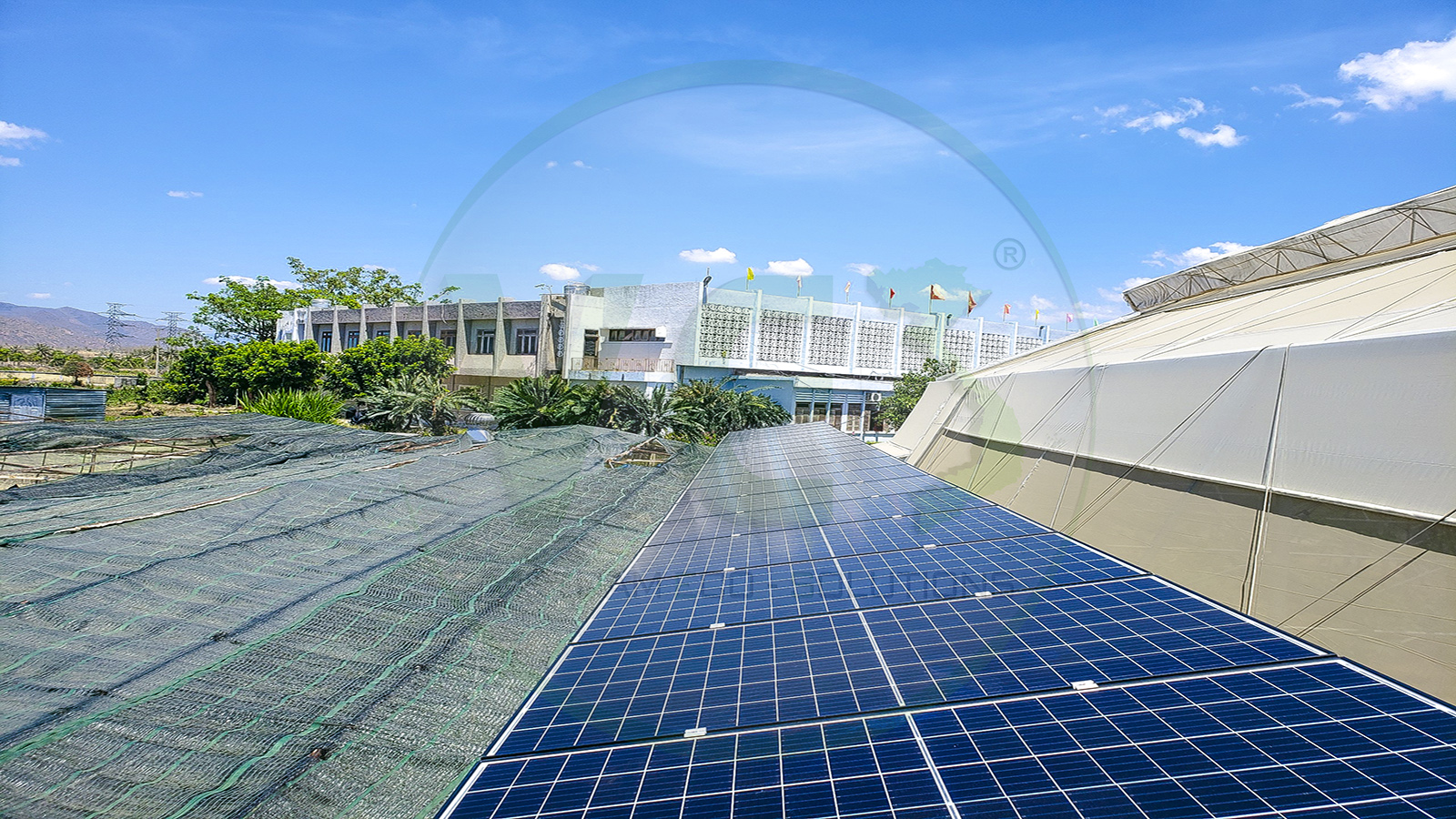 VES lắp đặt điện năng lượng mặt trời cho Viện nghiên cứu Nha Hố tại Ninh Thuận