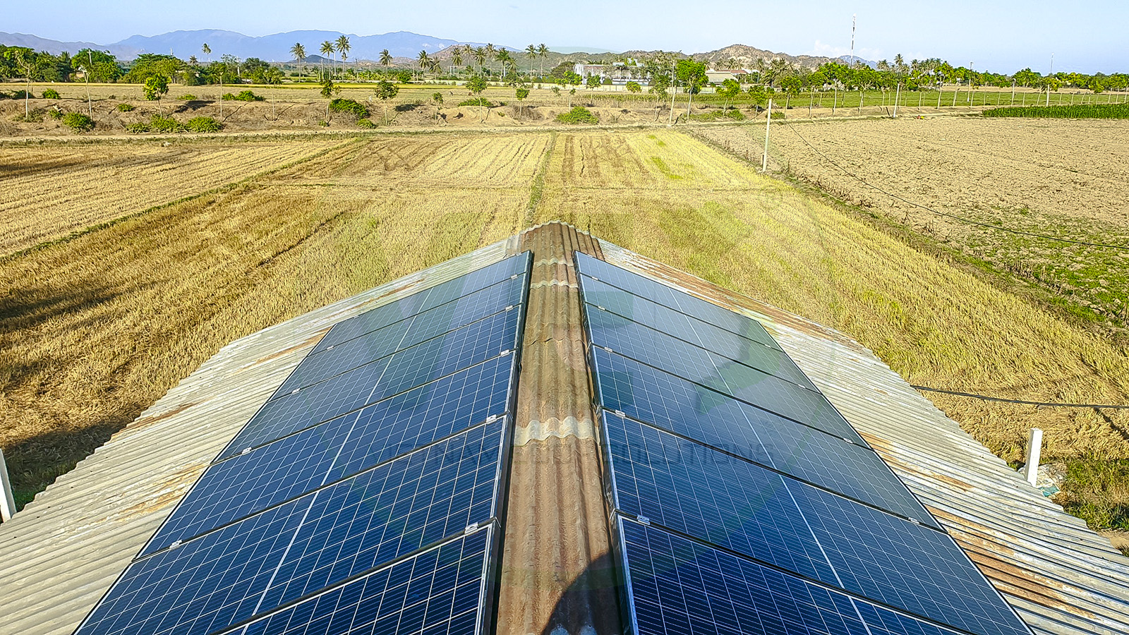 VES lắp điện năng lượng mặt trời tại Ninh Thuận